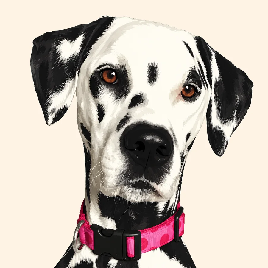 Retrato ilustrado del dálmata